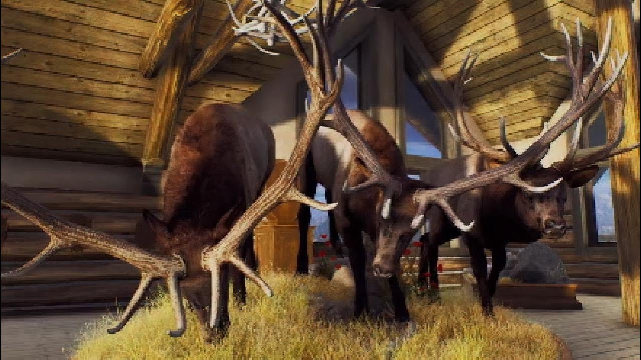 BEST ELK LAKE! Two 5 star elk + a giant 5 star bear!  | way of the Hunter