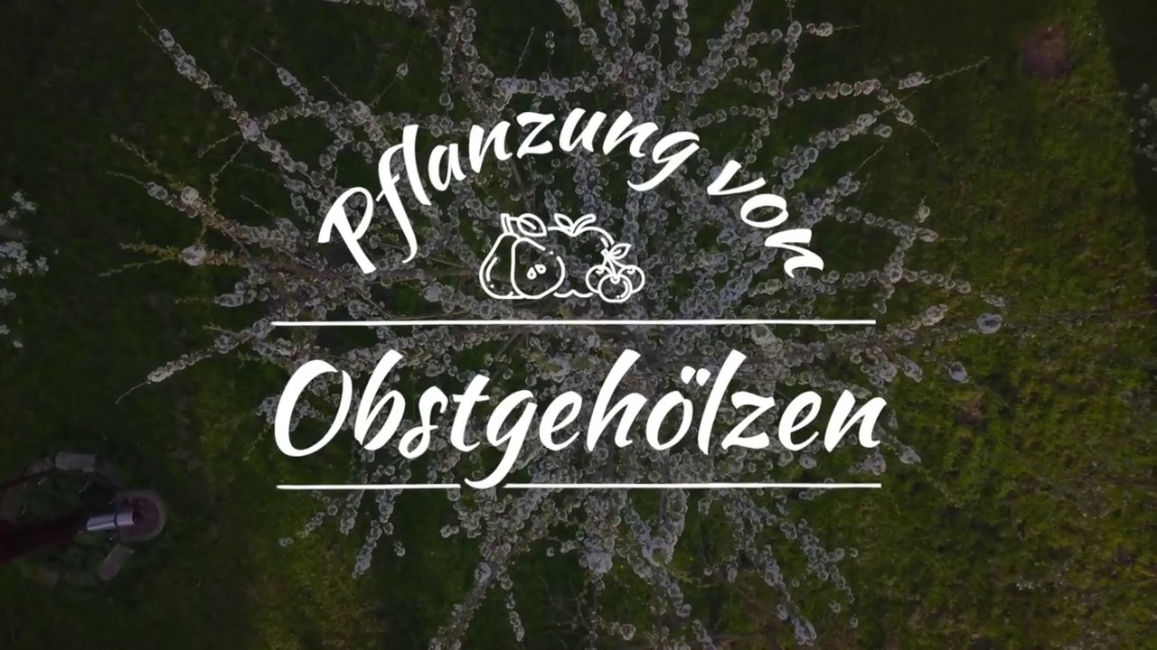 Pflanzung von Obstbäumen