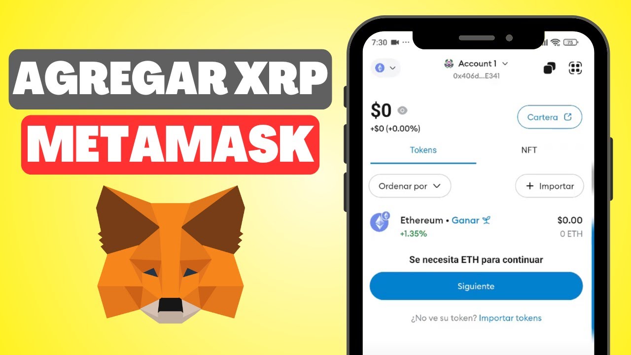 C&oacute;mo Agregar XRP a Metamask (Paso a Paso)