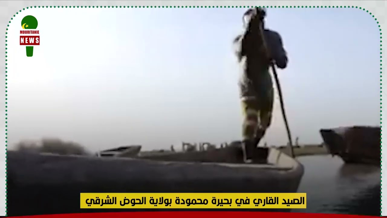 الصيد القاري في بحيرة محمودة بولاية الحوض الشرقي | موريتانيا نيوز