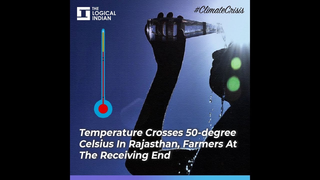 Temperature Crosses 50-degree Celsius In Rajasthan, Farmers At The Receiving End
