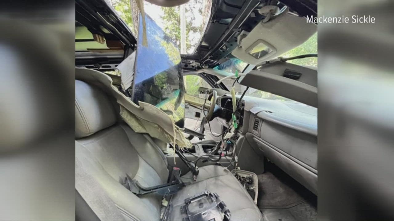 'Freaked out' | Lake Tahoe bear ravages family Sierra truck