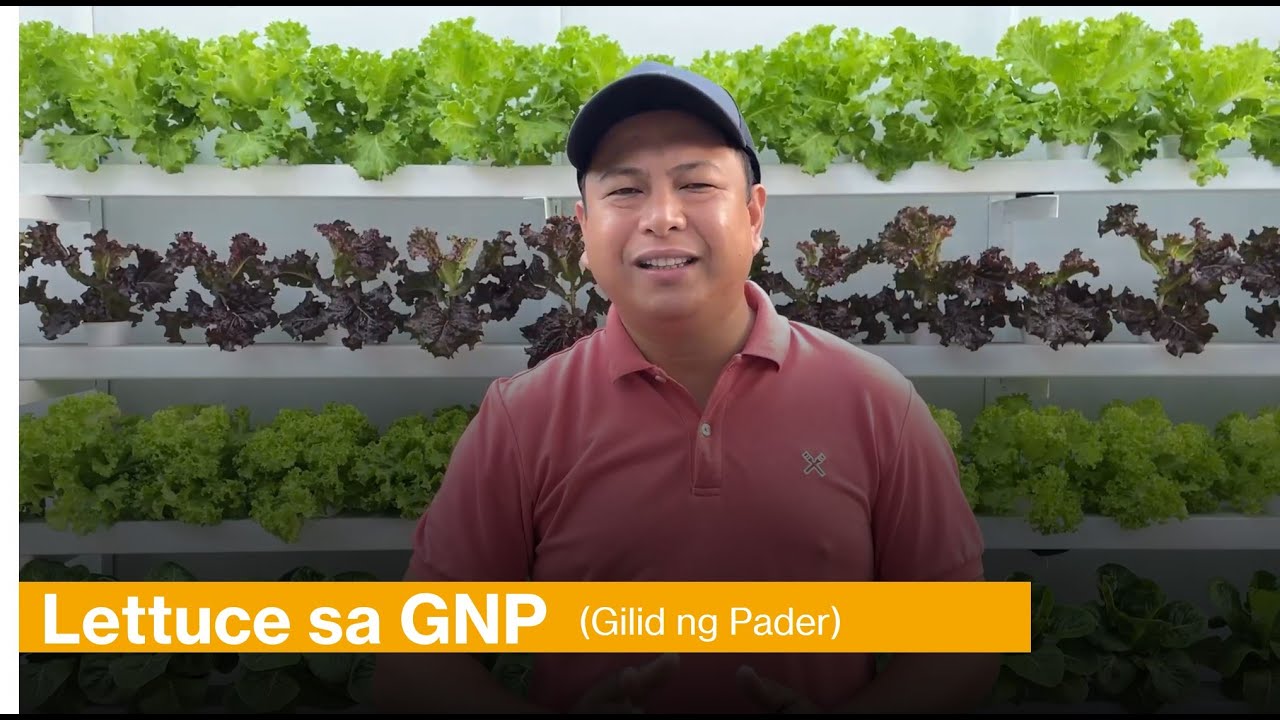 Semi-NFT Setup  sa Gilid ng Pader: Ang Laki ng Iginanda!!! | Nars Adriano