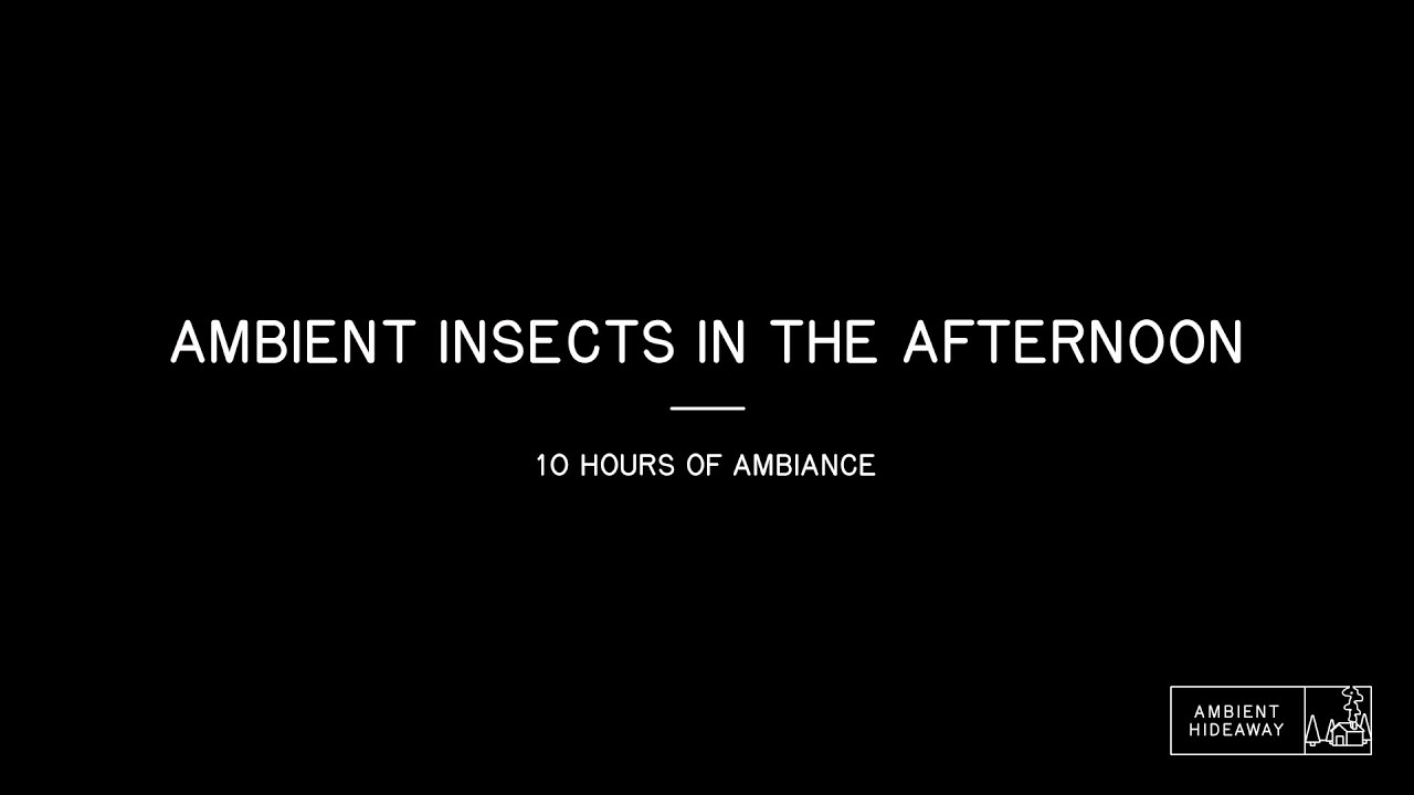 Ambient Nature Insects in the Afternoon Casual Relaxing in the World - 10 Hours of Ambiance