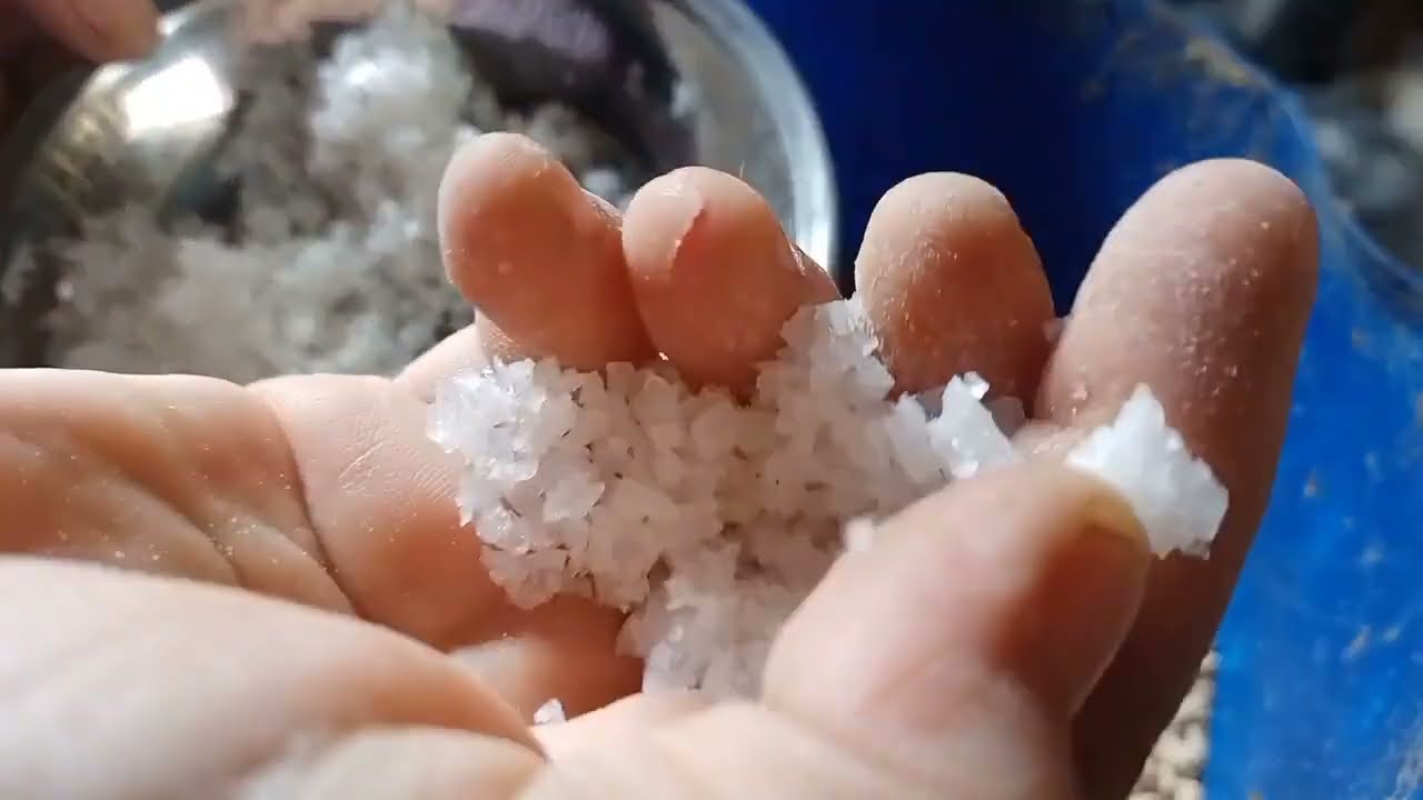 اهميه الملح للحمام فوائد واضرار الملح الناعم وملح البحر وهل لو زاد عن حده يؤثر على صحه الحمام
