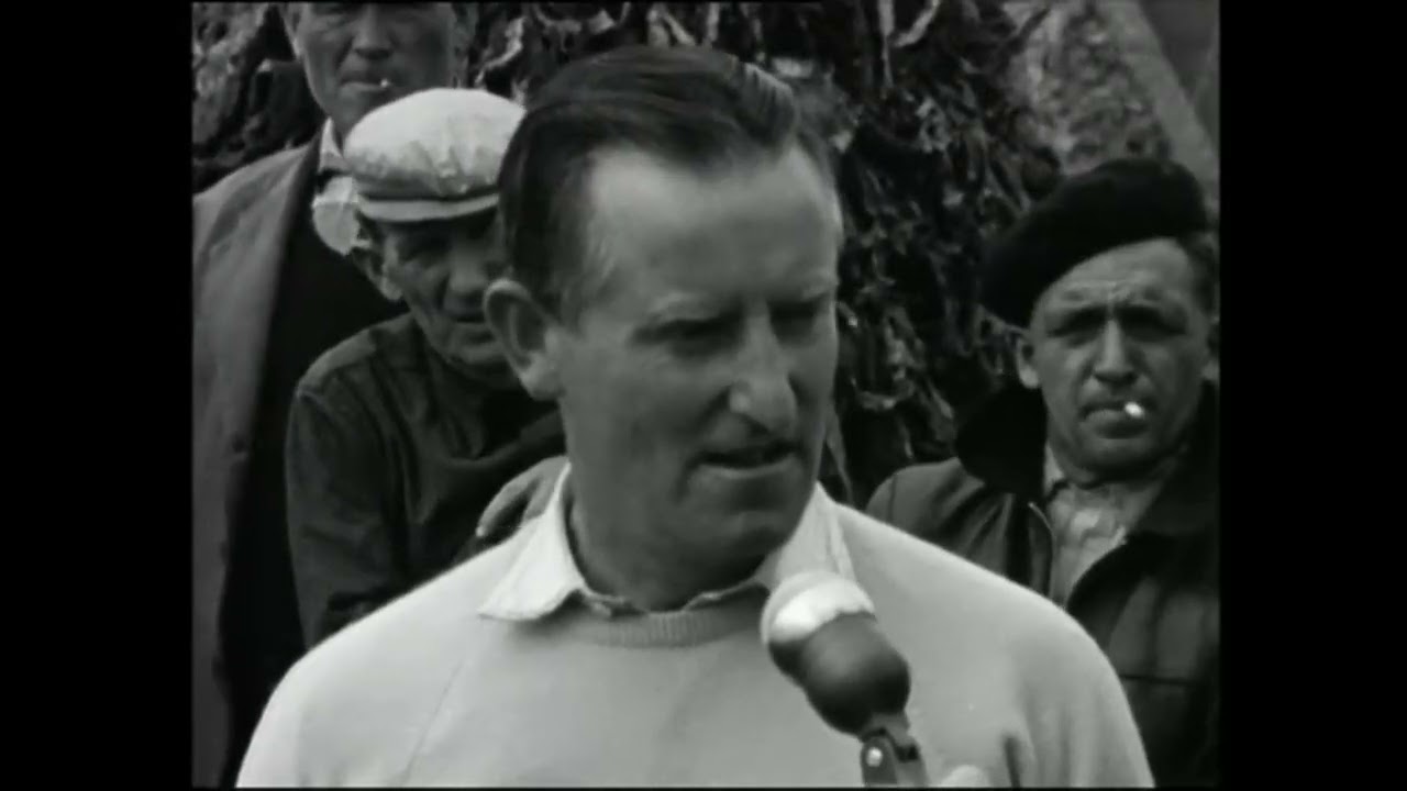 Harvesting Seaweed in Quilty, Co. Clare, Ireland 1962