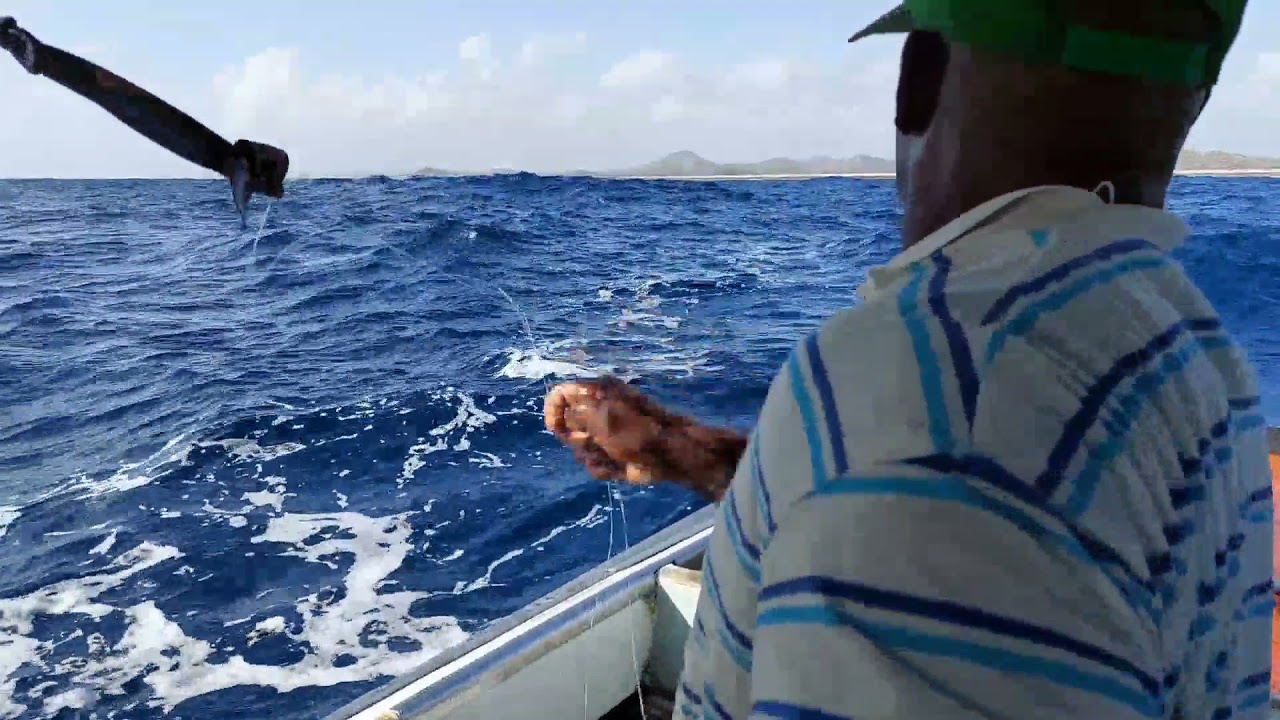 Mahi mahi fishing on Curacao