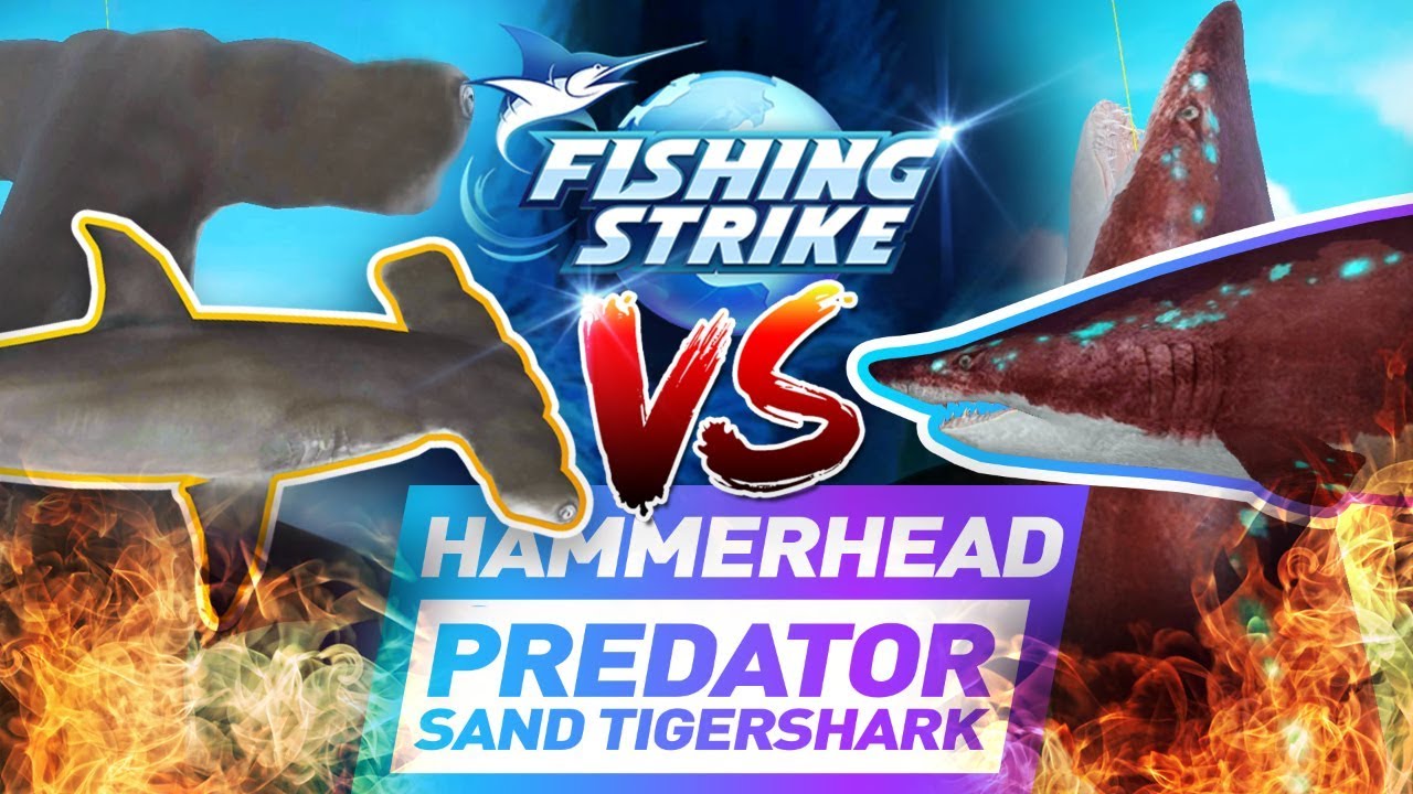 《釣魚大亨 Fishing Strike》 Mozambique Channel Hammerhead Shark vs Predator Sand Tiger Shark