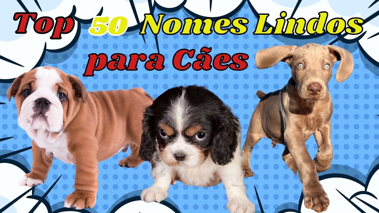 2023 Nomes lindos para cães
