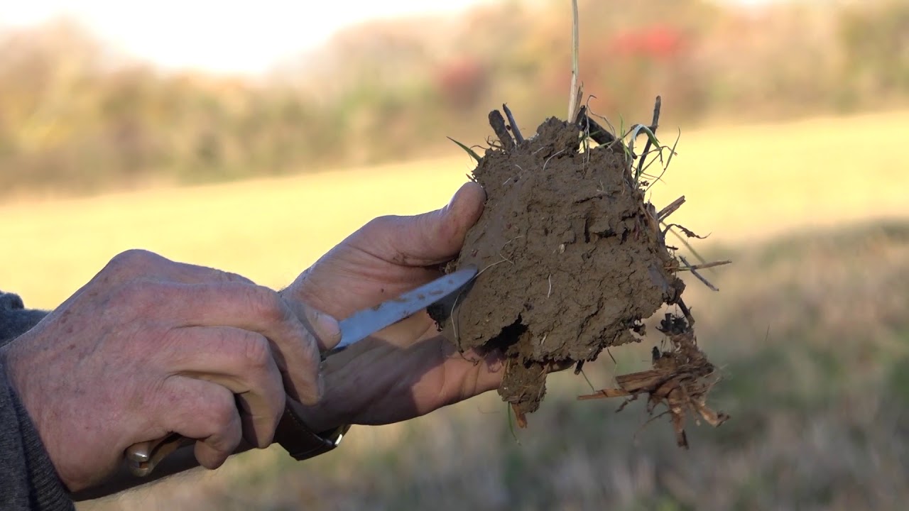AgroDays 3 - Innover dans la fertilisation avec les matières organiques