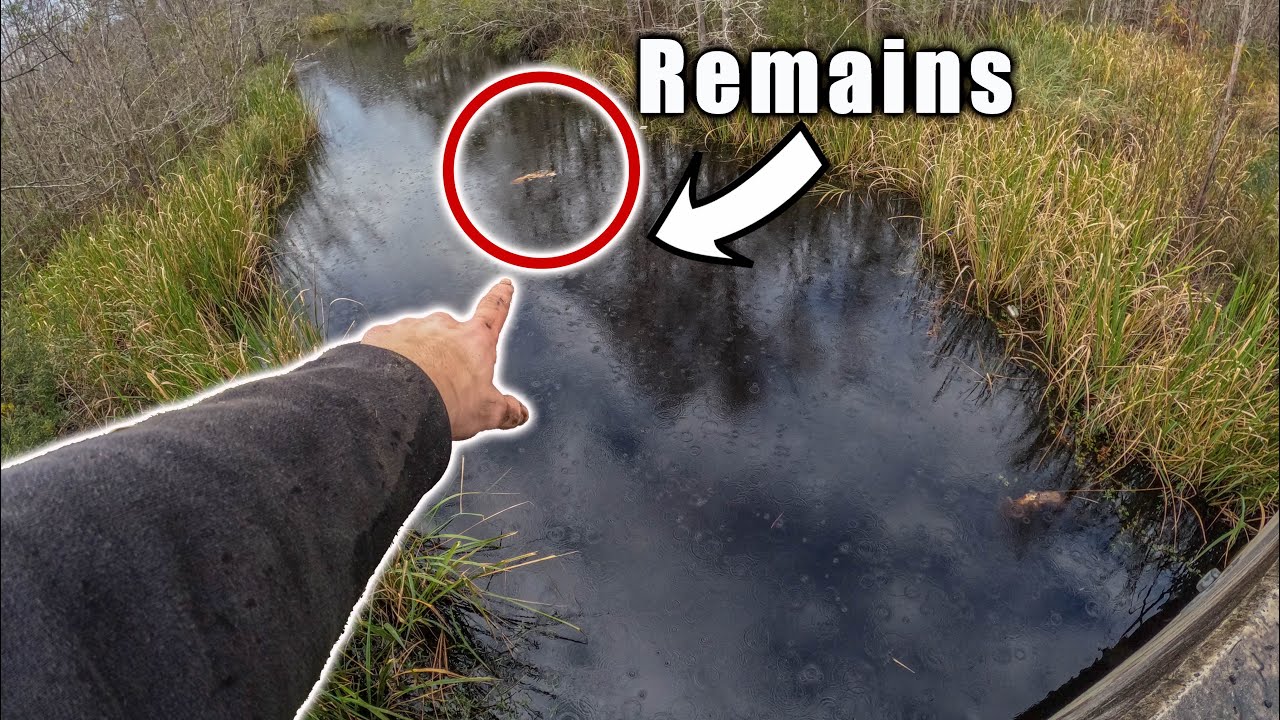 Magnet Fishing The Site Of A Tragedy - Remains Found Floating In The River (Who Would Do This)