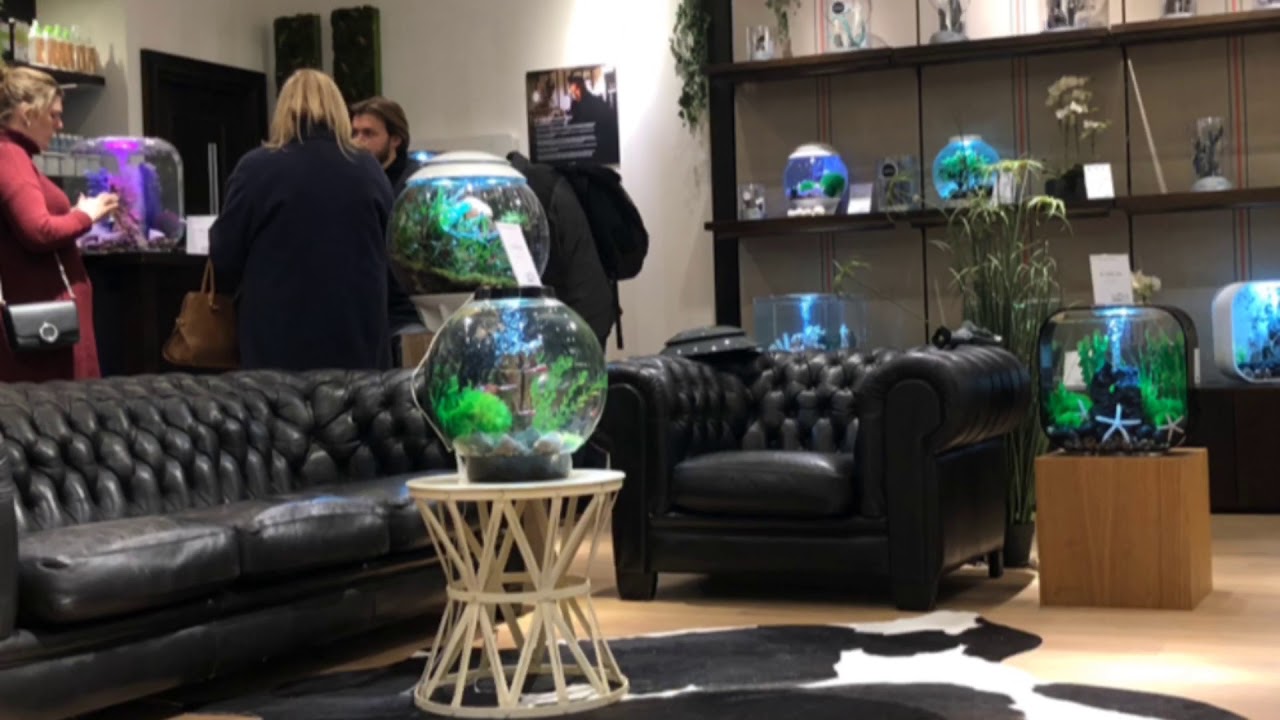 biOrb pop up store Belgium
