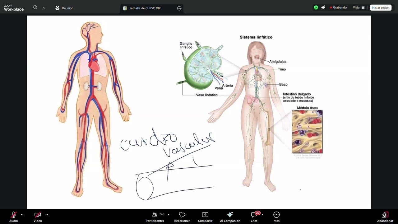 repaso ciencias basicas