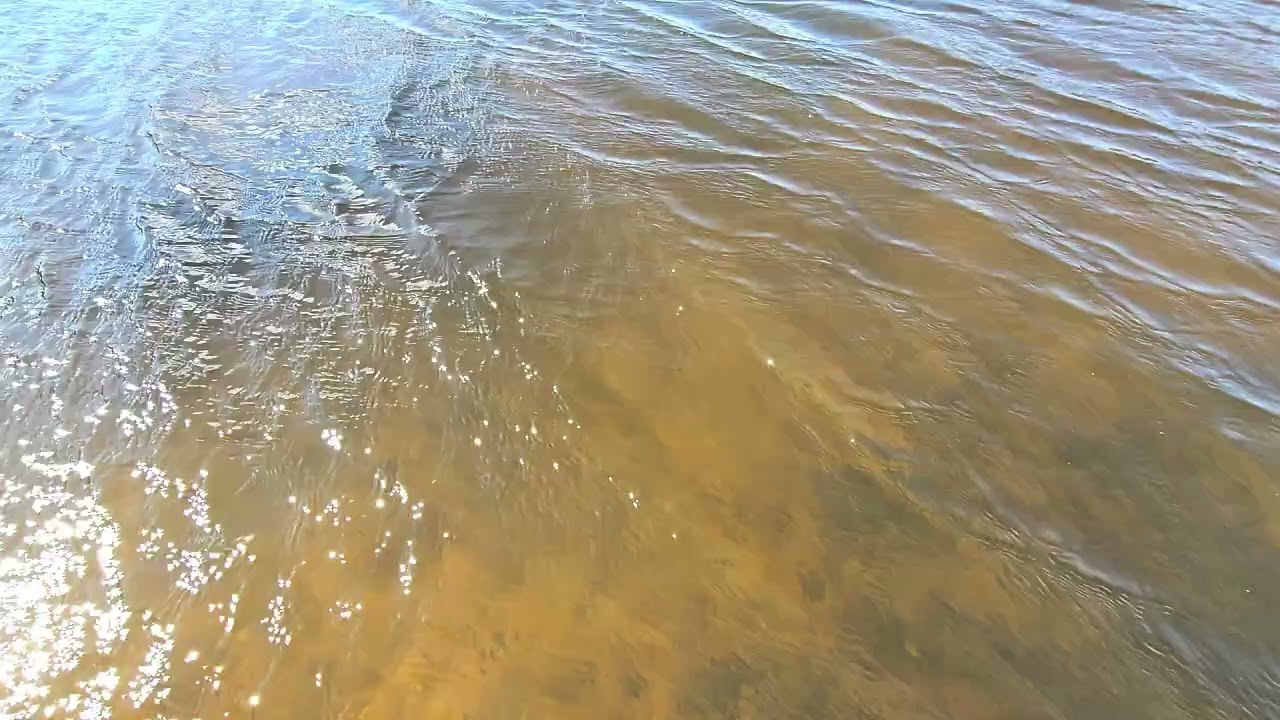 Echte Natur