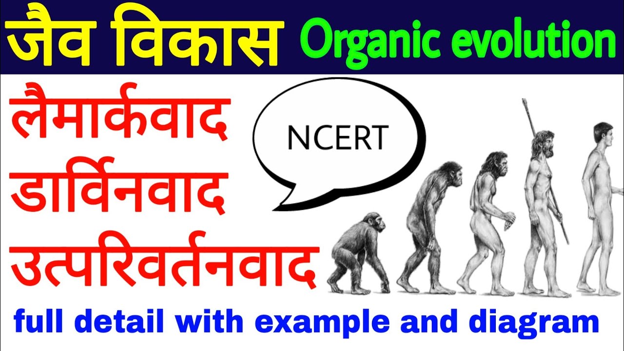 जैव विकास | jaiv vikas kya hai | jaiv vikas ke siddhant | biology science sk