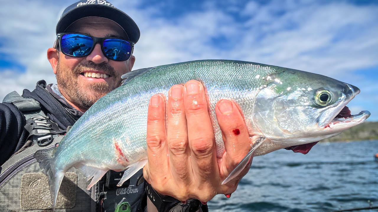 Chasing Big Northern California Kokaneee