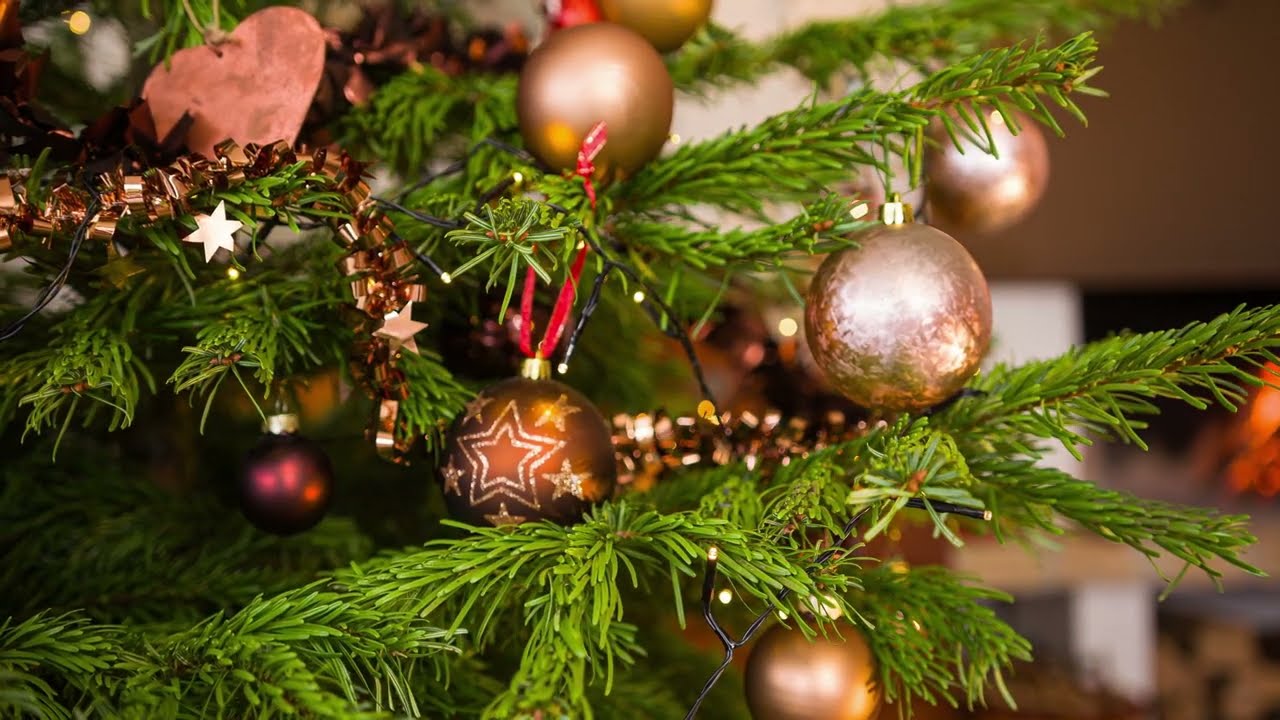 A Humble Christmas Carol from the Faithful of MCSPX Cebu