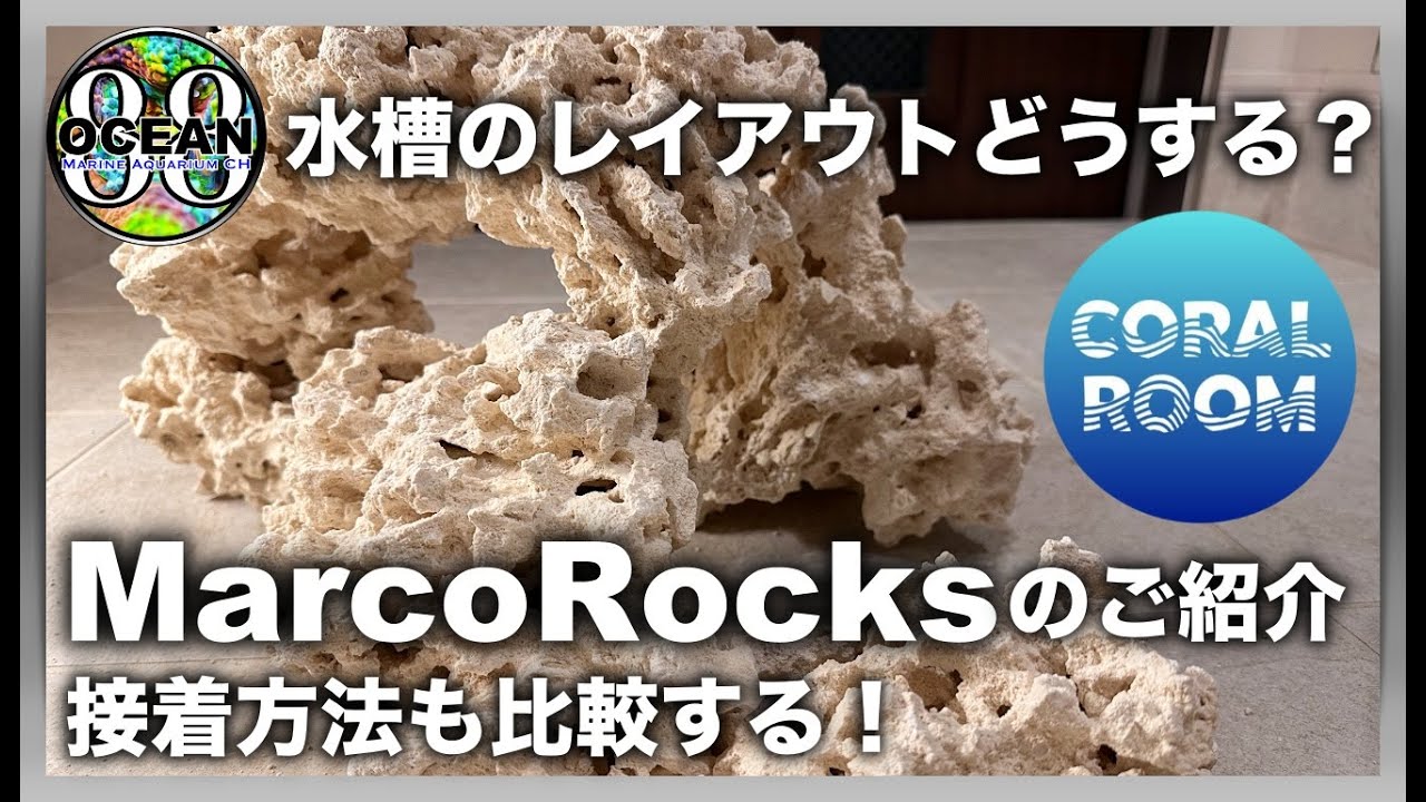 【海水魚水槽・サンゴ水槽】水槽のレイアウトどうする？コーラルルーム知ってるかい？マルコロックのご紹介　接着方法の比較