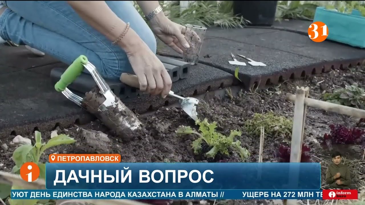 Изымать неиспользуемые дачи в пользу государства предлагают в Мажилисе