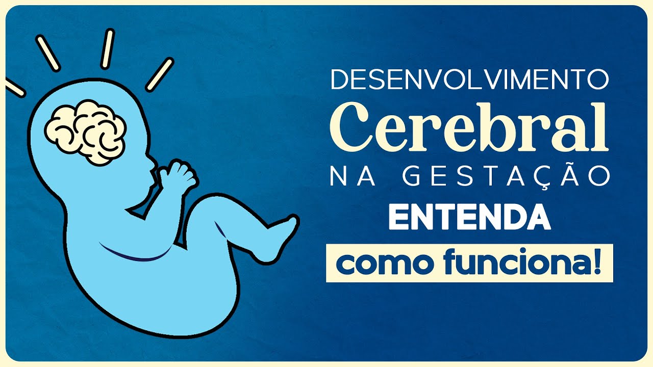 ESTÁ GRÁVIDA? ENTENDA COMO O CÉREBRO SE DESENVOLVE