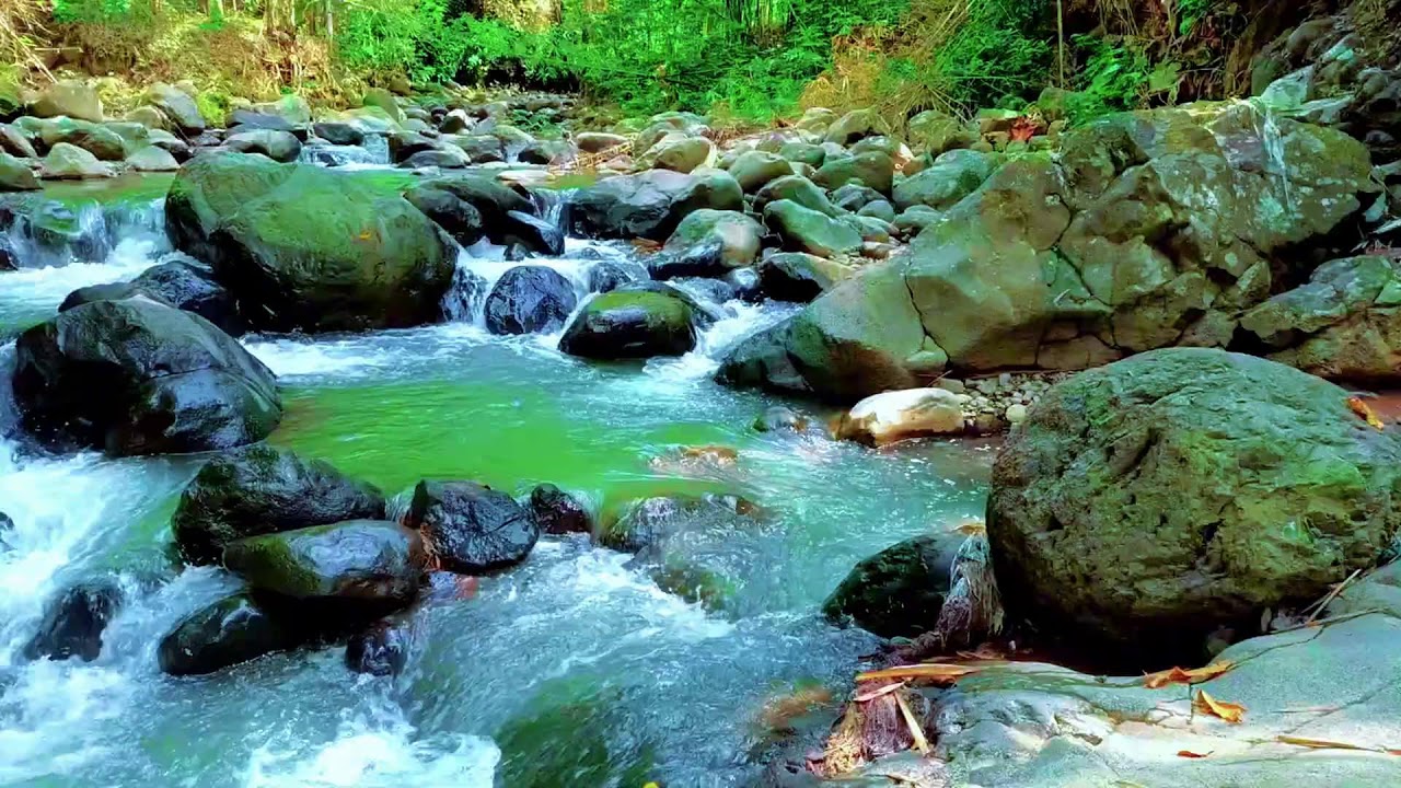 Relaxing River Water Sounds for Sleep, Meditation and Calm Mind | Natural Nature Ambience