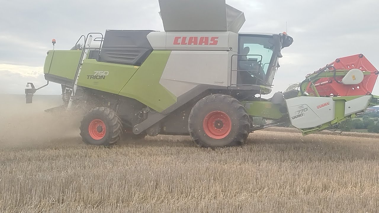 Claas Trion am Gerste dreschen 