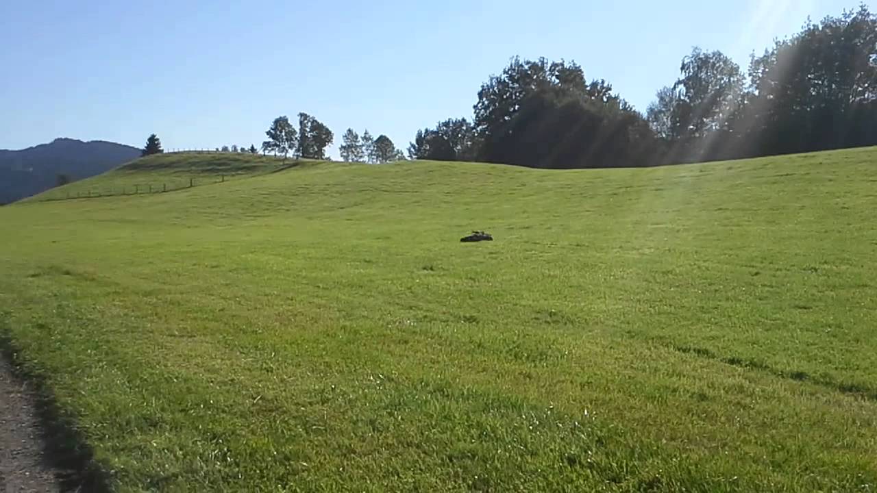 HPI BAJA 5T mit ZENOAH G290 und DDM Dominator