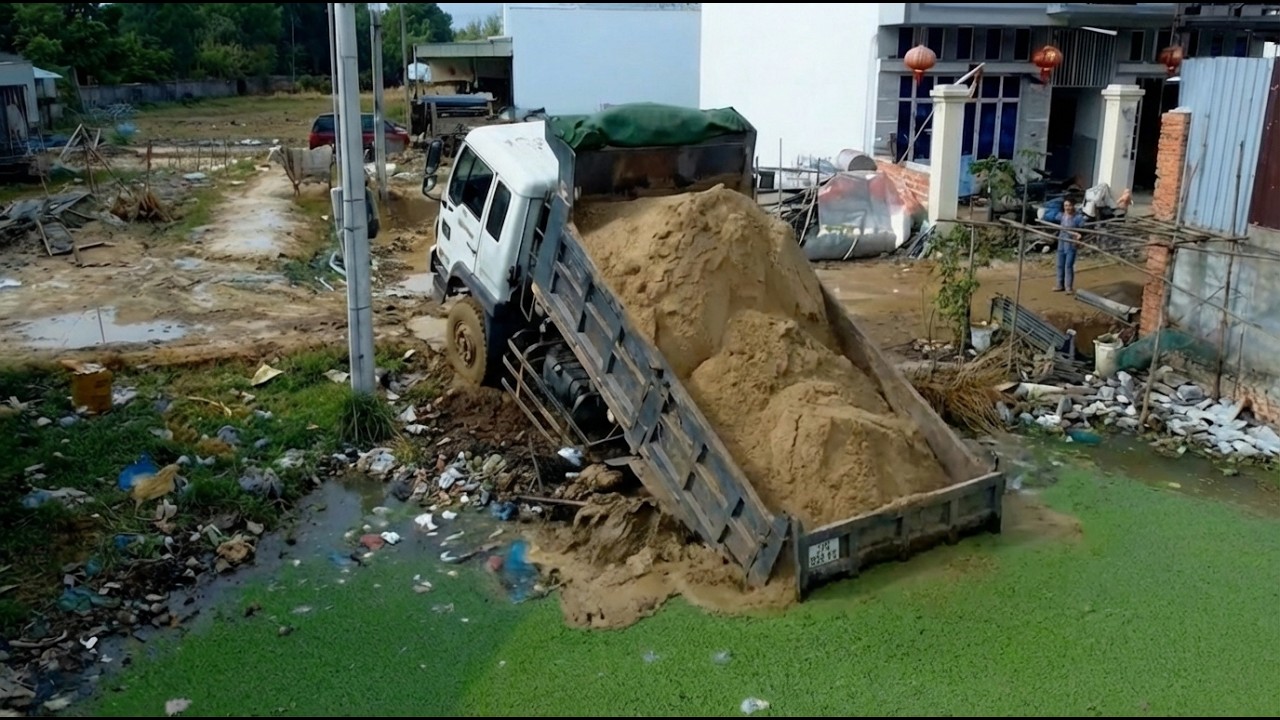 New Project!!! Good skill Dozer D20 & Truck 5T Land development use soil in Flooded land