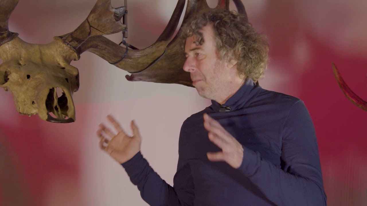 De schedel van een reuzenhert - aflevering 61