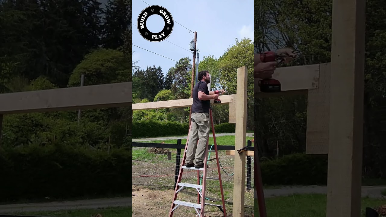 Shelter.. 3 day build in 30 seconds #diy #shed #horse