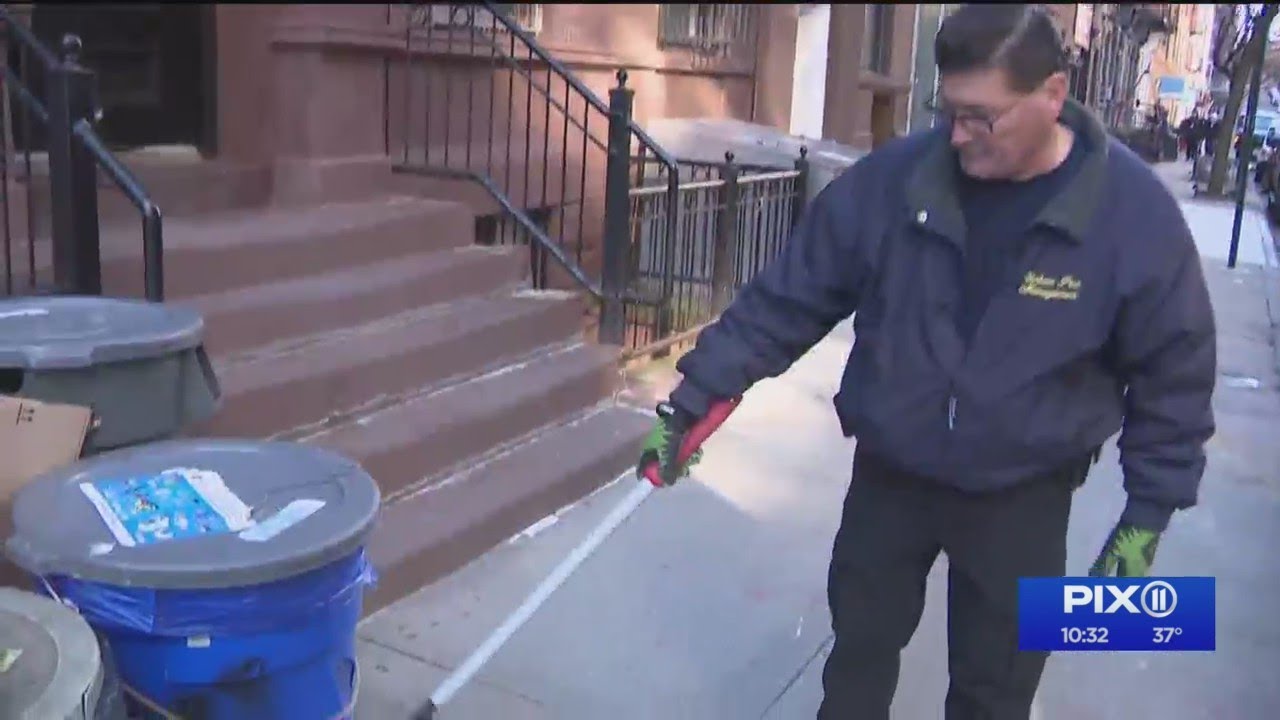 A day in the life of an NYC 'rat killer'