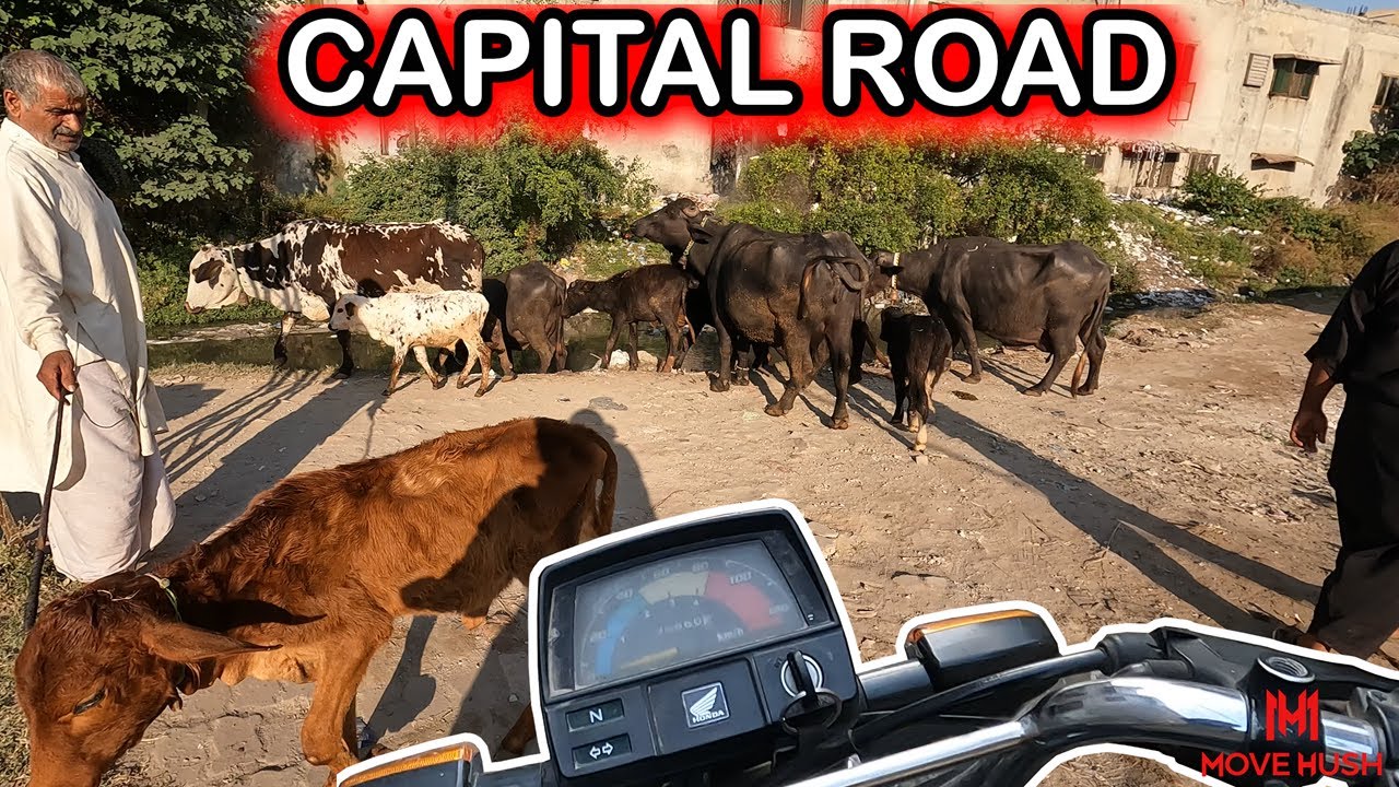 Motorcycle Ride Experience DEEP Inside Sialkoti Maholla | Pakistan POV Tour