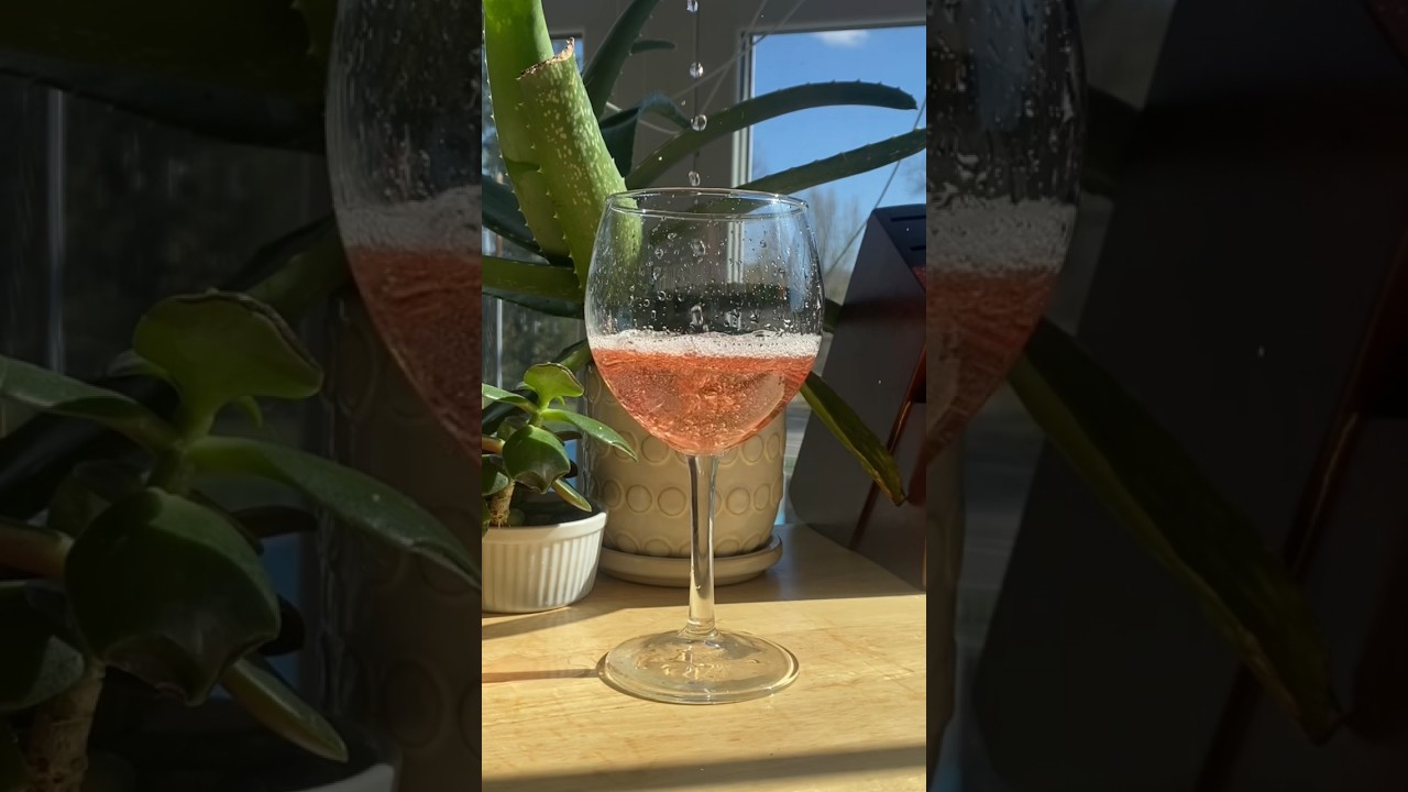 Homemade Watermelon Wine ✨ #shorts