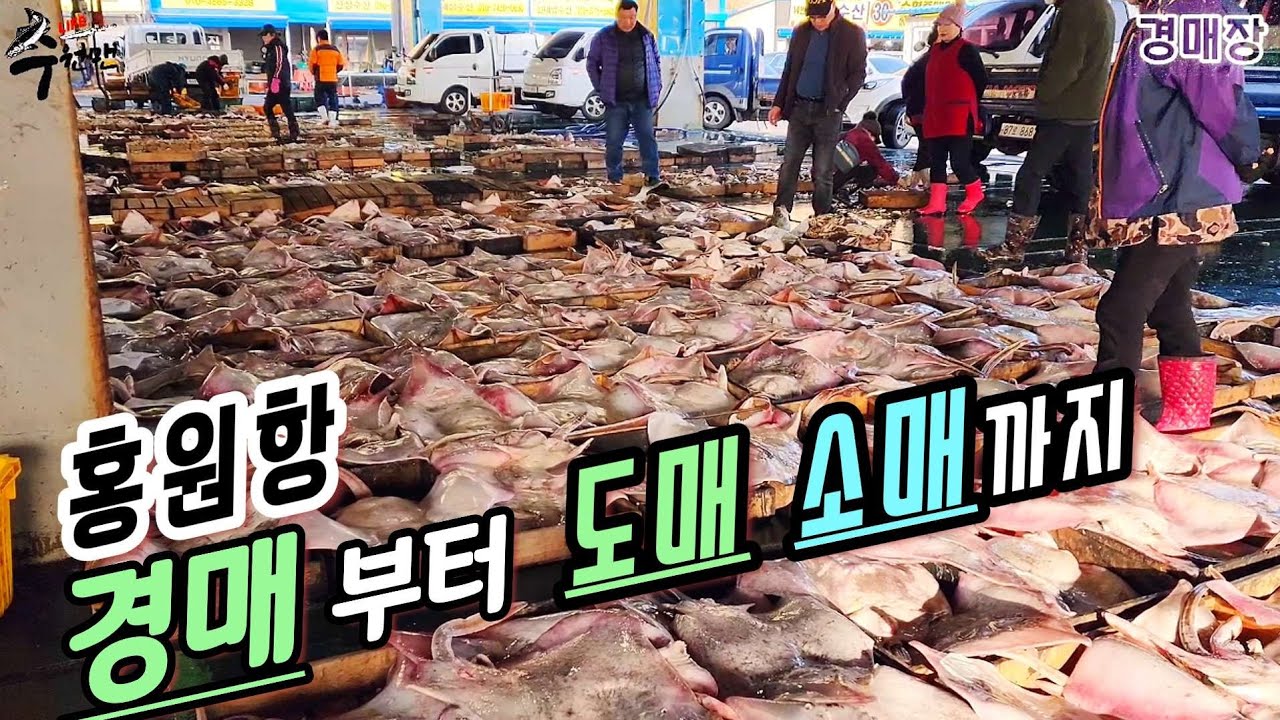 ♤ 올때마다 제철수산물 한가득 쌓여있는 항구! 짝으로 사면 싸니~ 짝지어 와서 나누세요!