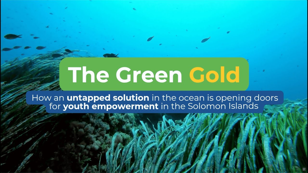 International Youth Day: Training tomorrow&rsquo;s seaweed farmers today