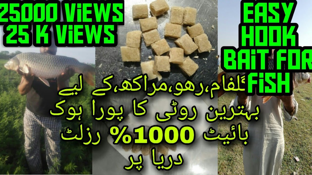 Easy fish hook bait.روٹی کا پورا fishing champion shani.Best ground bait.5/7/2021