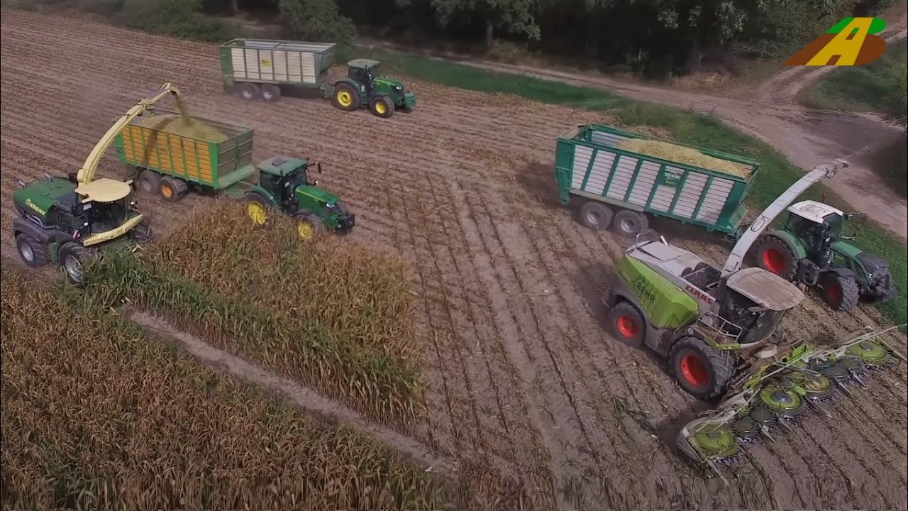 Großeinsatz Maishäckseln KRONE BIG X1180 stärkste Feldhäcksler der Welt - strongest maize harvester