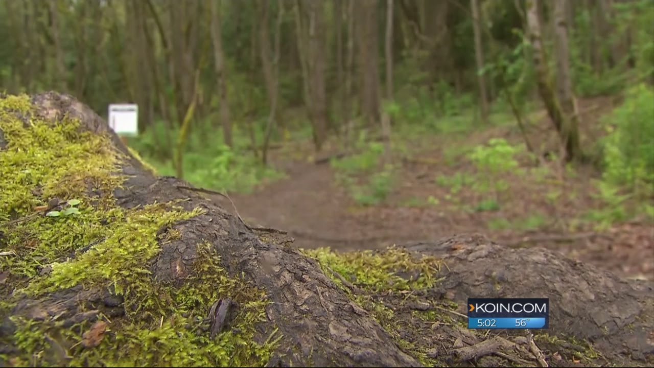 Mystery surrounds human remains found on hiking trail