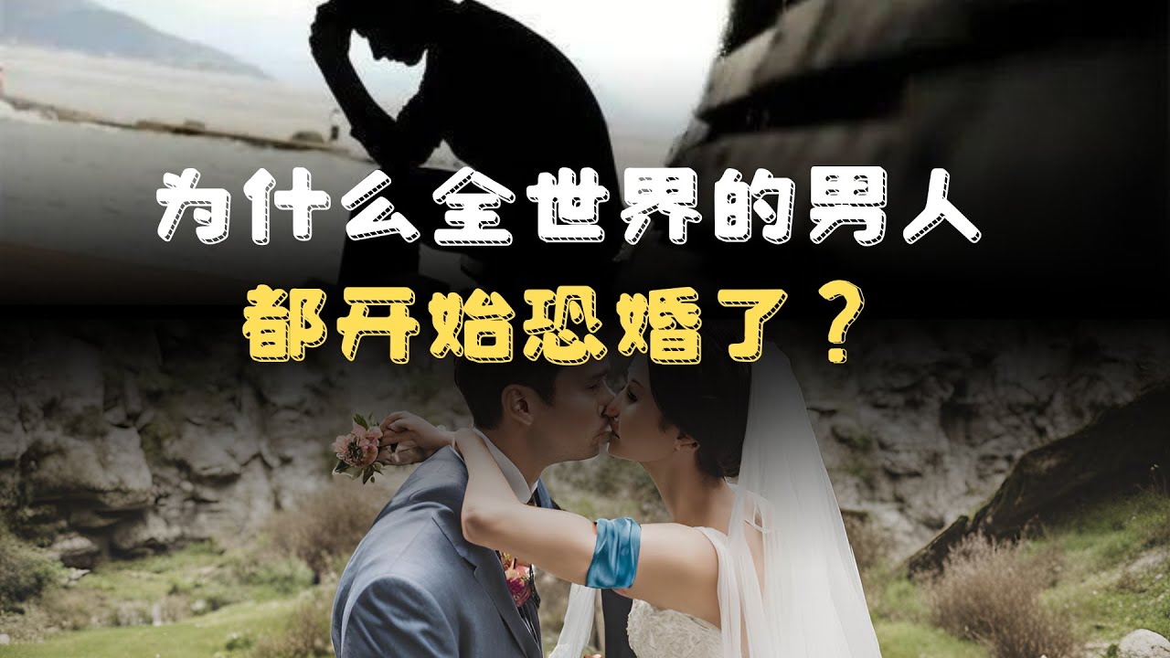 【恐婚时代】为什么没人结婚了？为什么全世界的男人都开始恐婚了？#人文社科 #经济 #财经 #婚姻 #女权