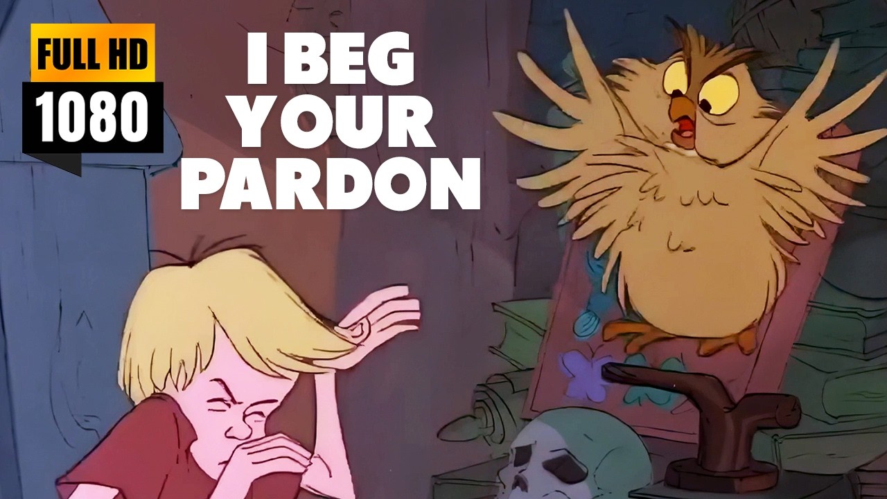 I Beg Your Pardon Meme