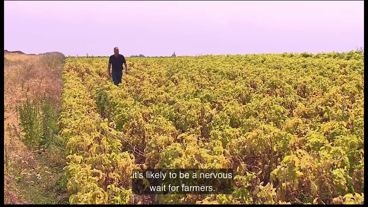 120822 Water Scarcity STV News