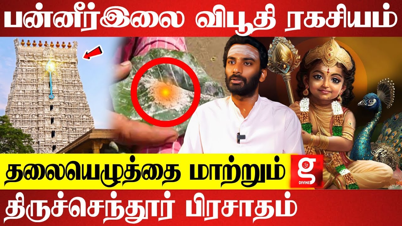 இதை செய்தால் முருகரே வீட்டுக்கு வருவார் | Vijayakumar Speaker | Thiruchendur | Murugan Temple