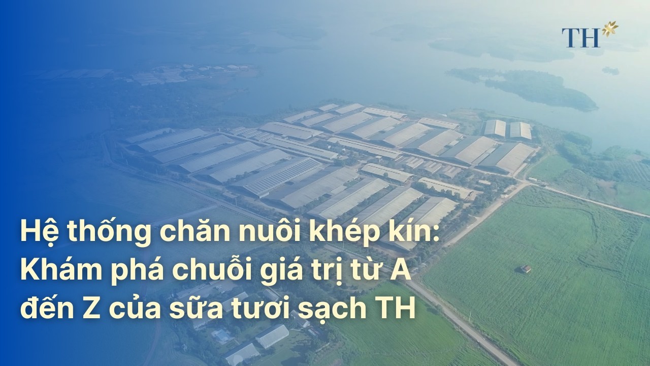 Hệ thống chăn nuôi khép kín: Khám phá chuỗi giá trị từ A đến Z của sữa sạch | TH Hạnh Phúc Đích Thực