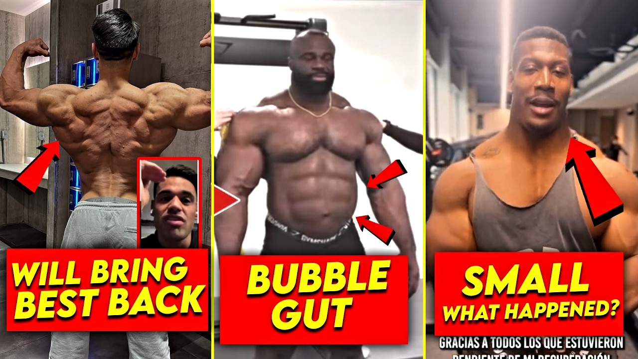 (हिन्दी) ALI BILAL WARNING EVERYONE | SAMSON GOT BIG ISSUE | NECKZILLA LOST SO MUCH MUSCLE