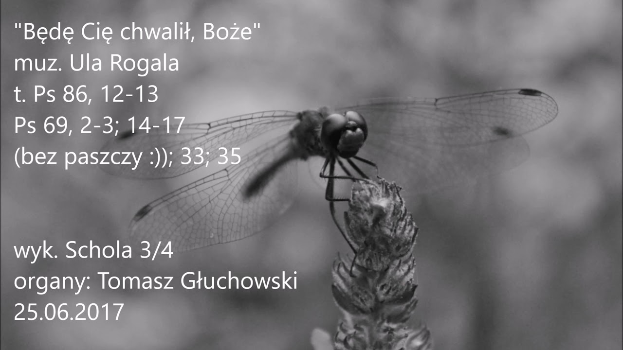 Będę Cię chwalił, Boże — Urszula Rogala
