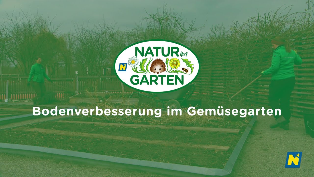 Bodenverbesserung im Gem&uuml;segarten
