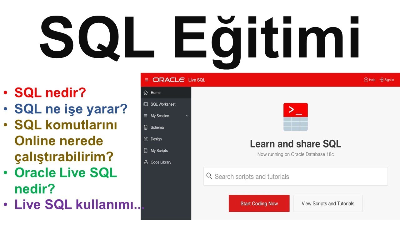 SQL Eğitim Serisi - Live SQL Kullanımı
