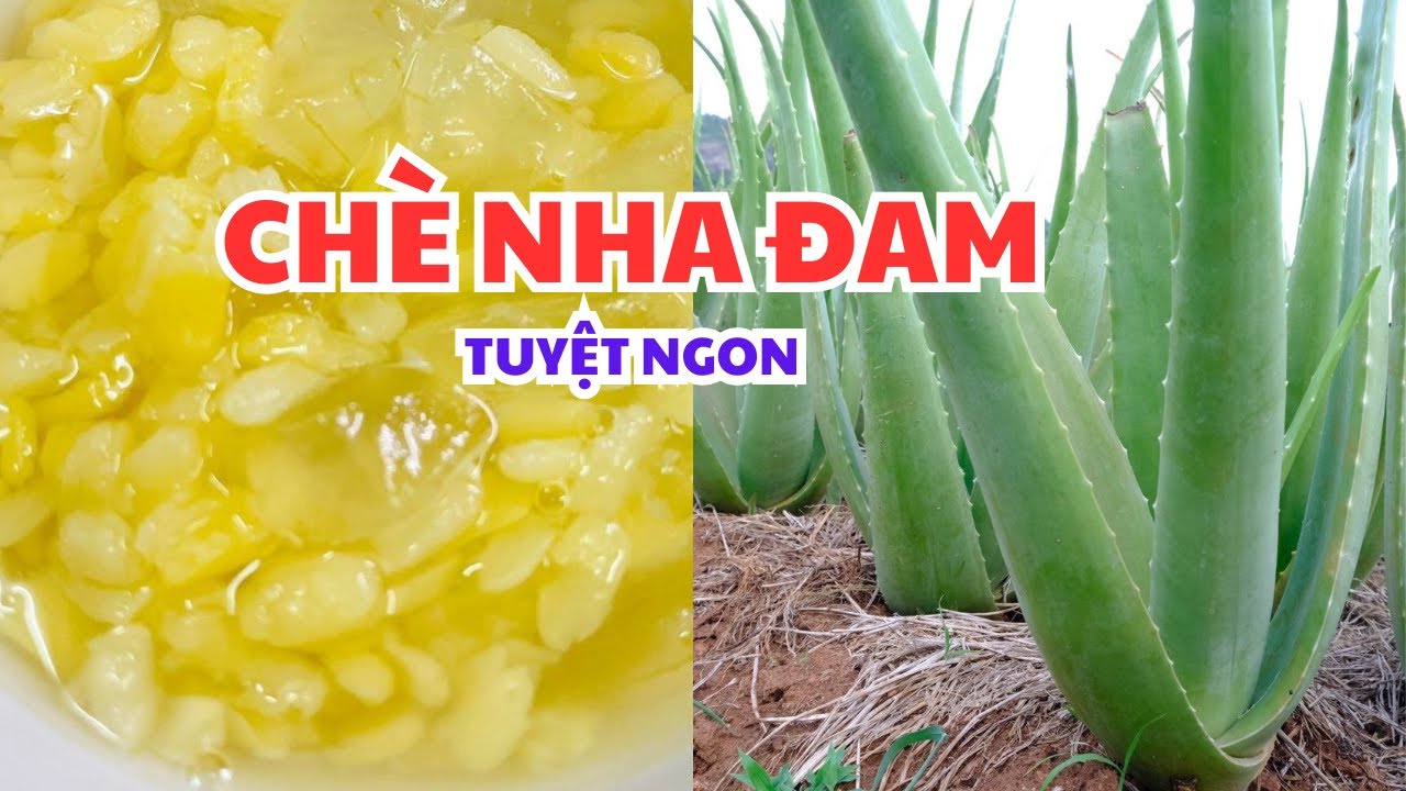 CÁCH LÀM CHÈ NHA ĐAM TUYỆT NGON. 