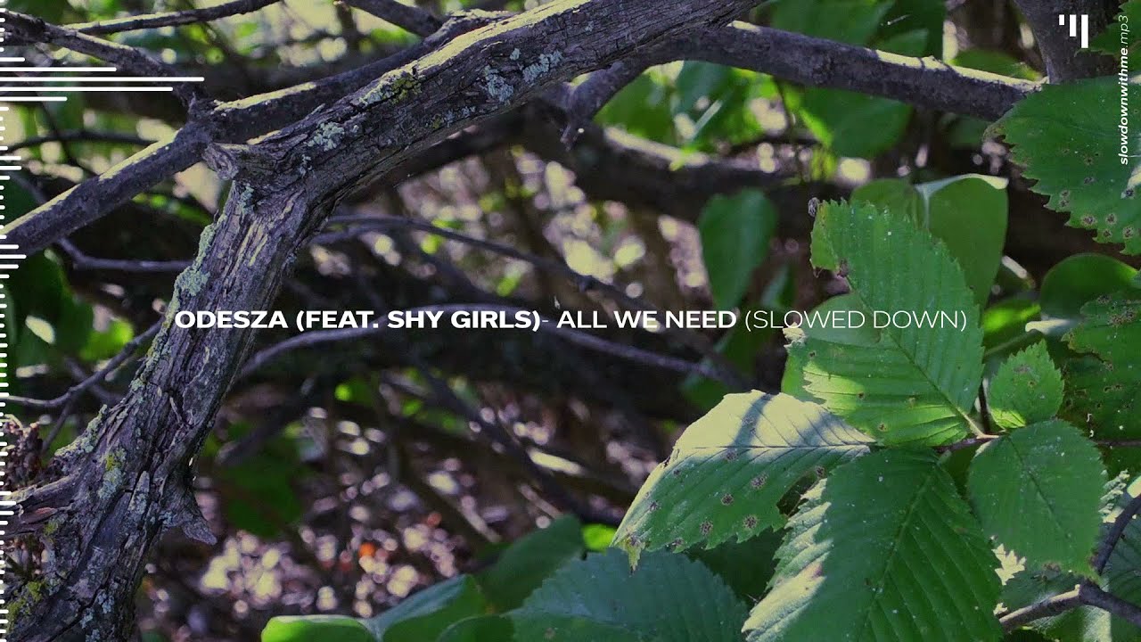 ODESZA (feat. Shy Girls) - All We Need (Slowed Down)