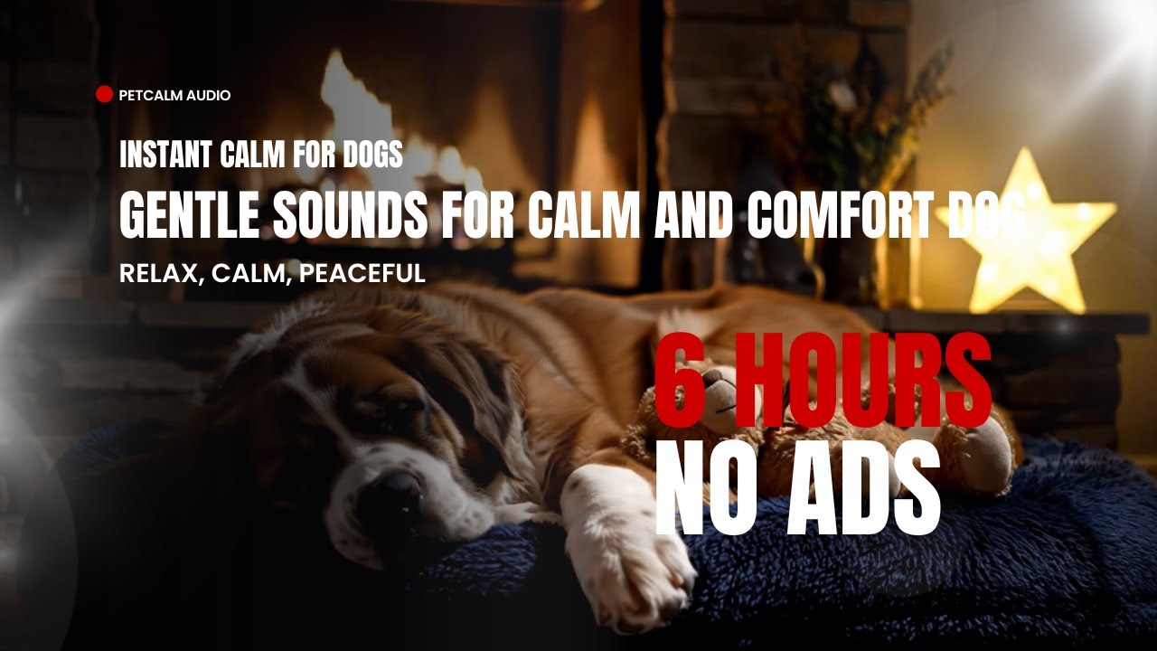 Soothing Music for Dogs to Sleep | Gentle Sounds for Calm and Comfort Dog